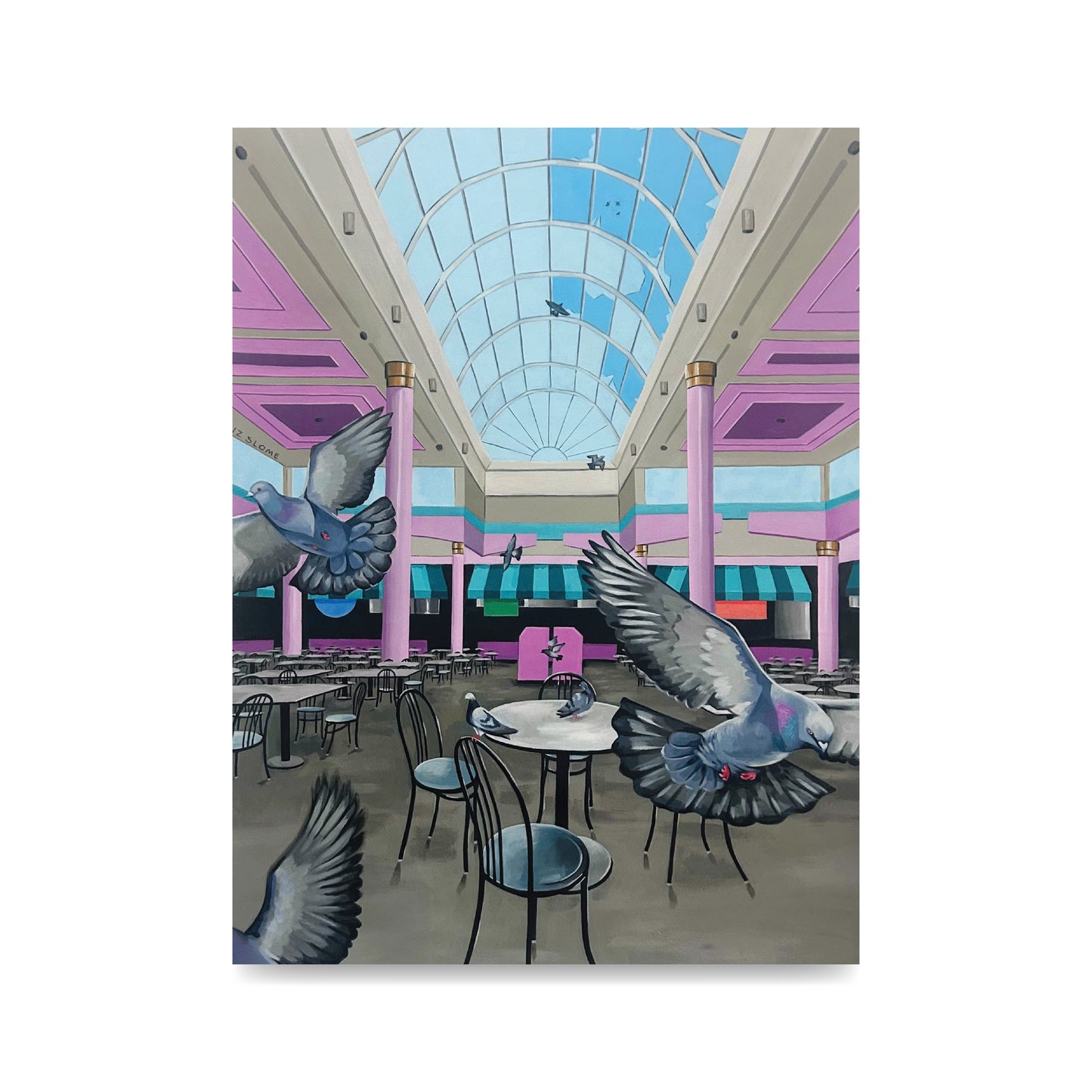 Pigeons at the Mall